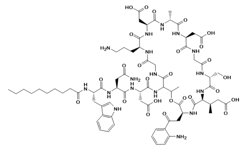 Daptomycin