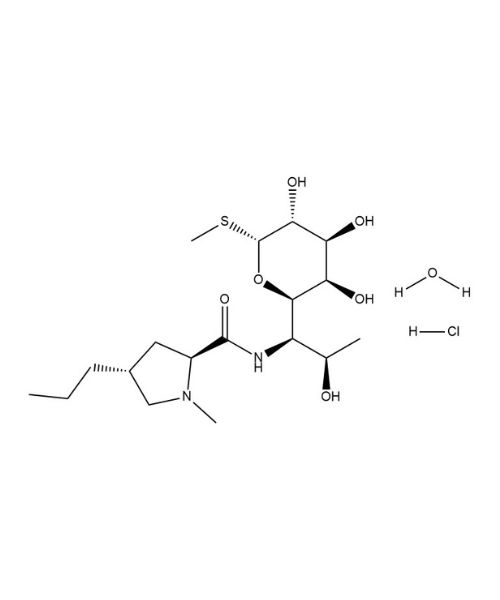 Lincomycin Hydrochloride Monohydrate