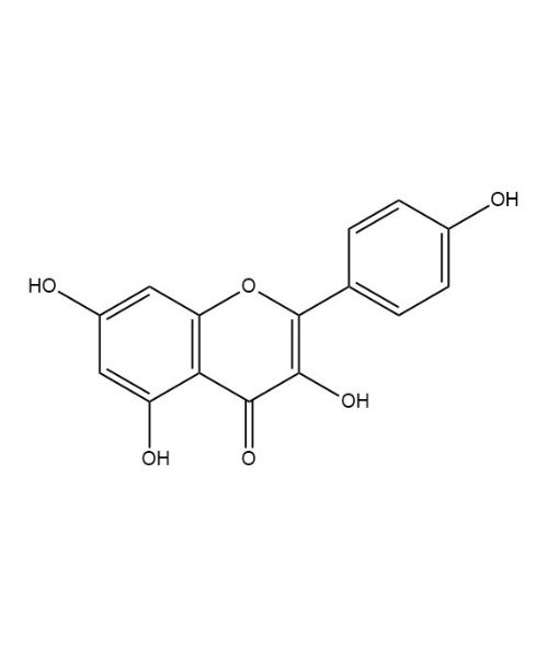 Kaempferol