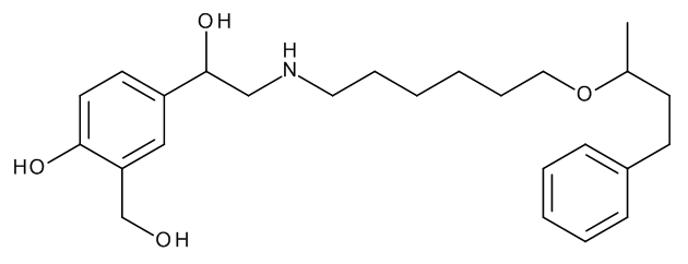 Salmeterol Related Compound B