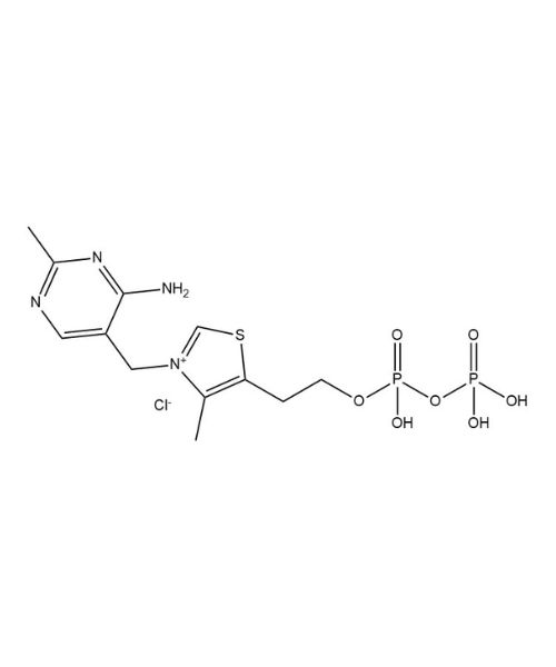 Thiamine pyrophosphate